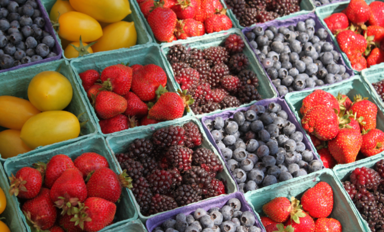 save money on groceries